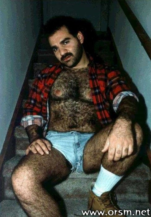 bear.jpg