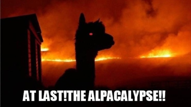 funny_pics_07.jpg