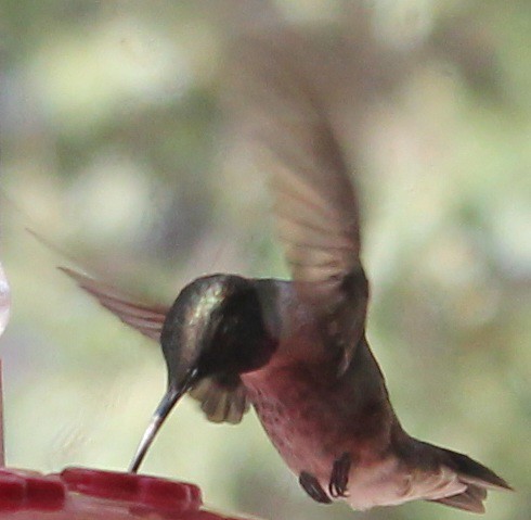 7418268846_7bb3895c52.jpg