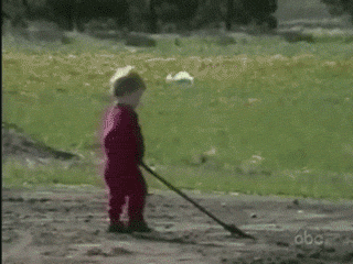 83079008.gif