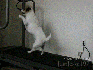 gifs_16.gif