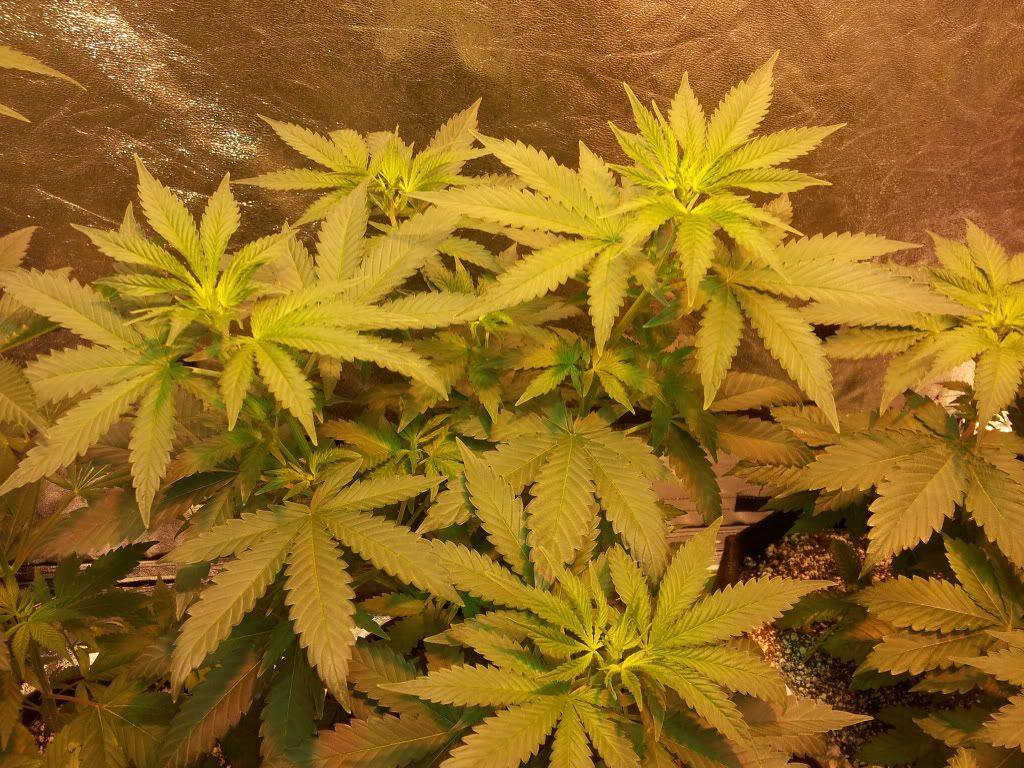 20111223_024001.jpg