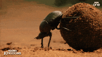 200.gif