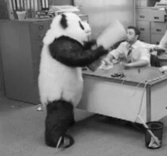 tumblr_ls8paeWsxf1qdl0w4.gif