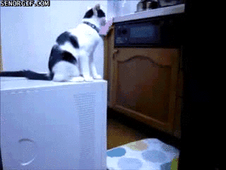 gifs_18.gif