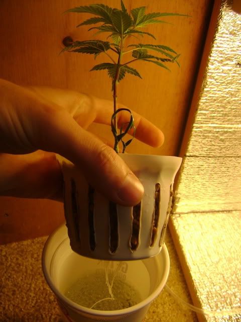 DSC00008.jpg