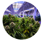 ozonesolutions.com