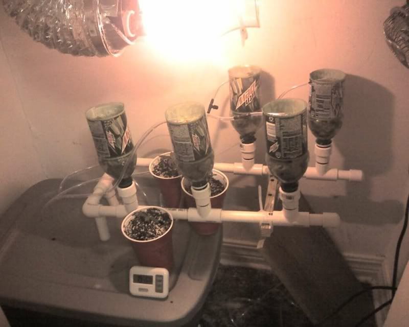 setup.jpg