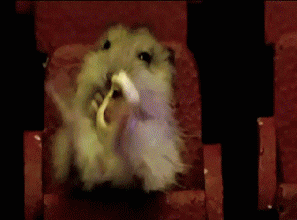 tumblr_lgt0nrOOCL1qfy0lyo1_400.gif