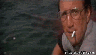 10STDWqrYdDZ4Y.gif
