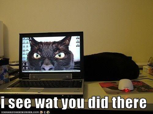 seewhatudidtherecat.jpg