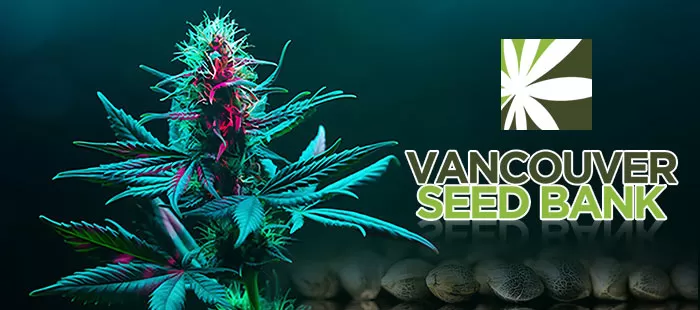 vancouverseedbank.ca