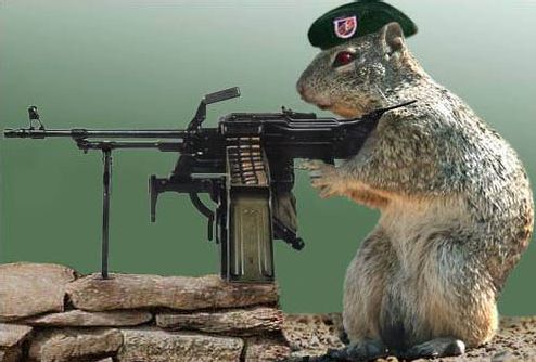 mutantsquirrel.jpg