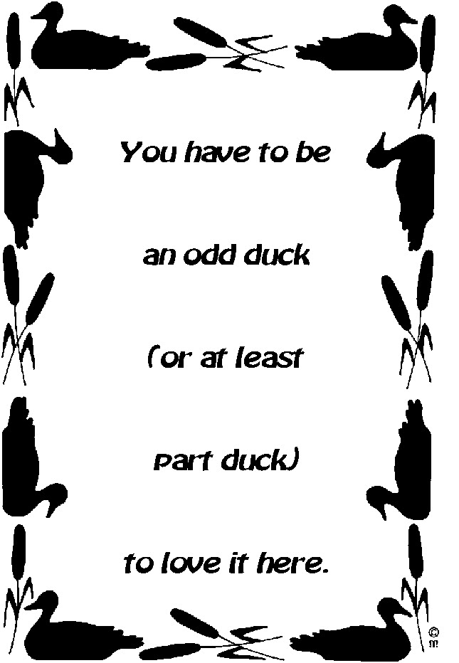 odd-duck.tif