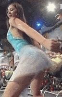 animated287.gif