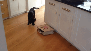 gifs_15.gif