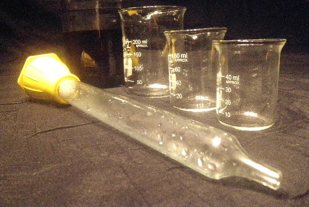 P1011866.jpg