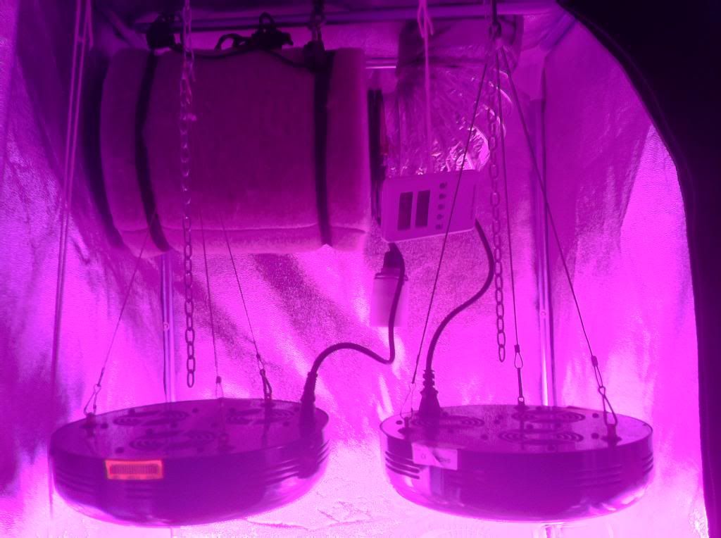 LEDS_zpsd8da9ba4.jpg