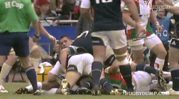 82750682.gif