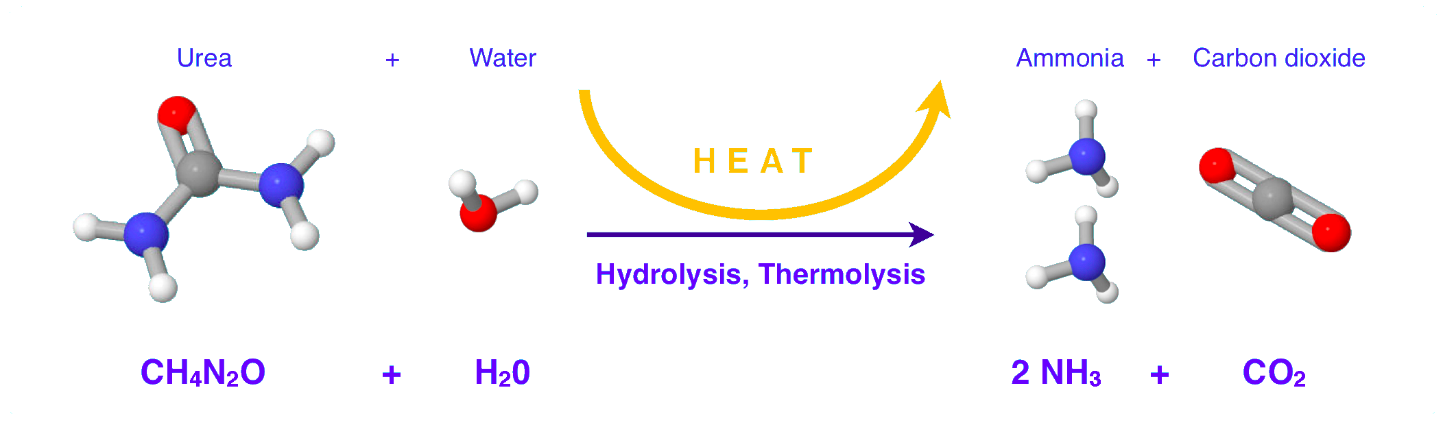 urea_hydrolysis_2.png