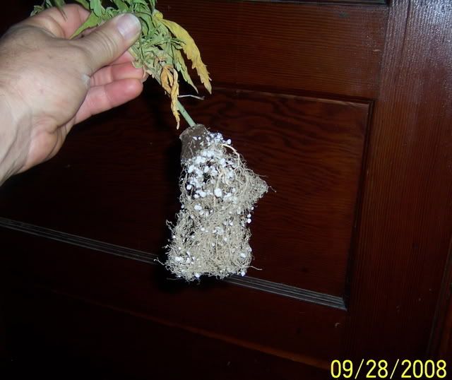 100_0593.jpg