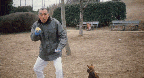 chinese-baseball-gif.gif