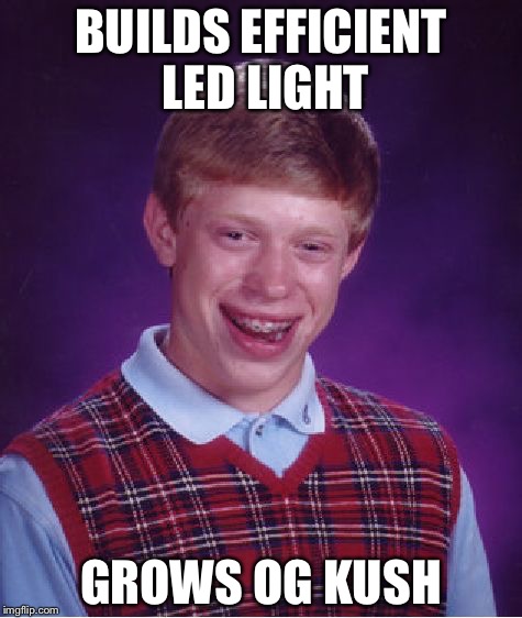 11873x.jpg