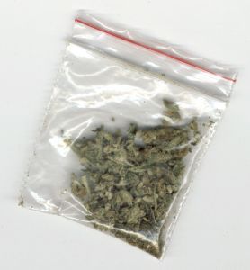 1363380645_403_dutch_weed-thumb-278x300-17152.jpg