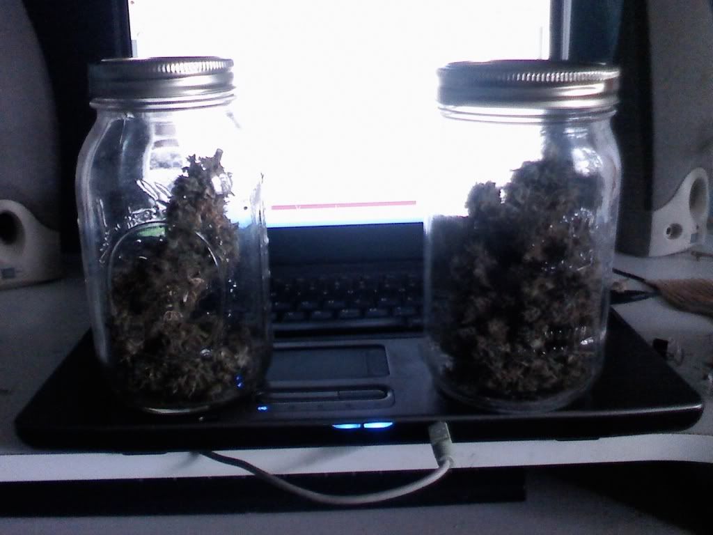 JAR.jpg