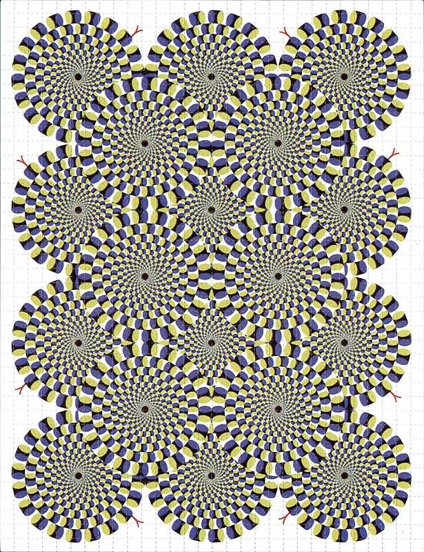 snakes-white-big.jpg