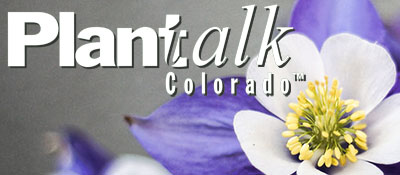 planttalk.colostate.edu