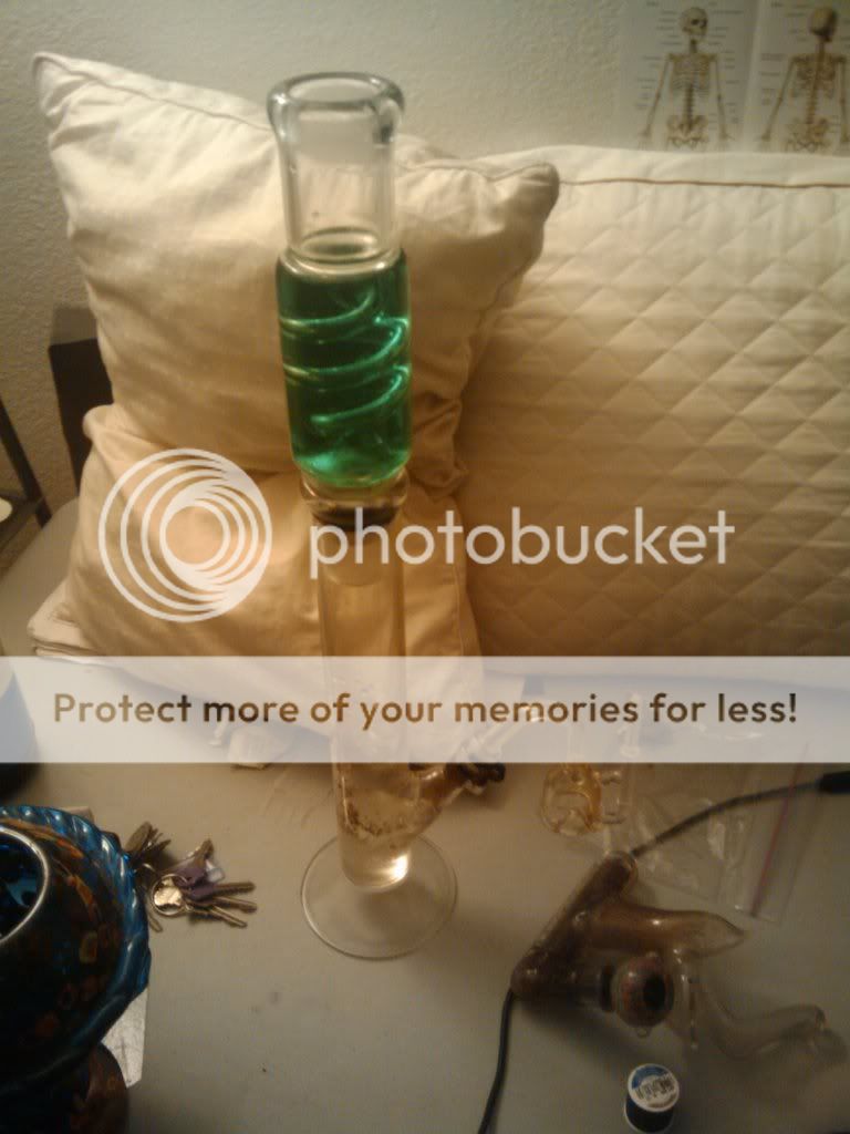 2010-10-27205656.jpg