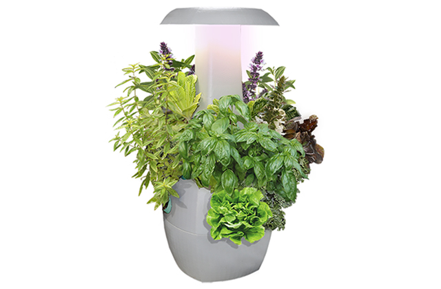 ROOTS-Grow-WeedApp-ProductStill.jpg
