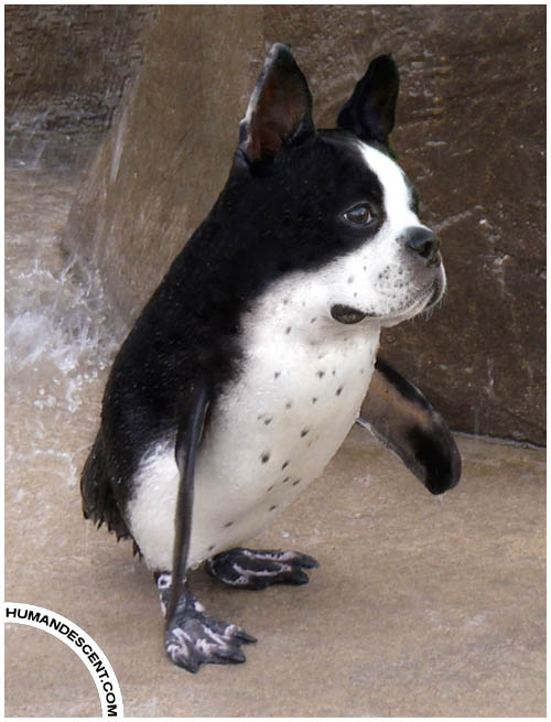 Leaning_Doguin_by_HumanDescent.jpg