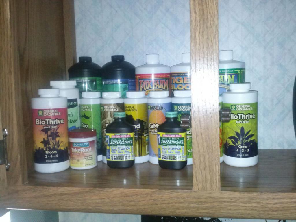 1230121201_zps97f9d403.jpeg