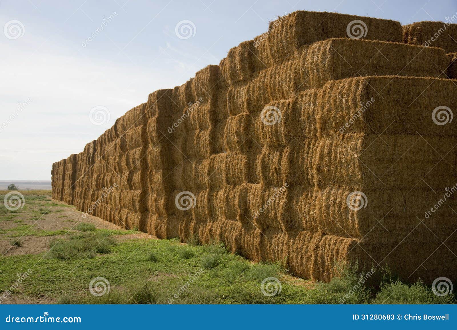 hay-bales-huge-stack-corner-farmers-field-farm-staple-31280683.jpg