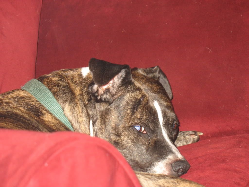 Picture013.jpg