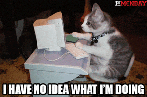 200_s.gif
