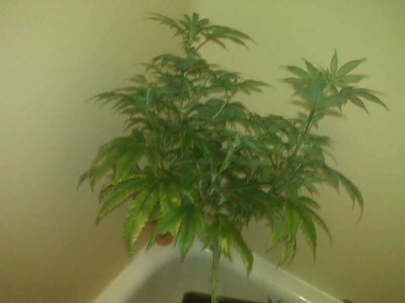 IMG01583.jpg