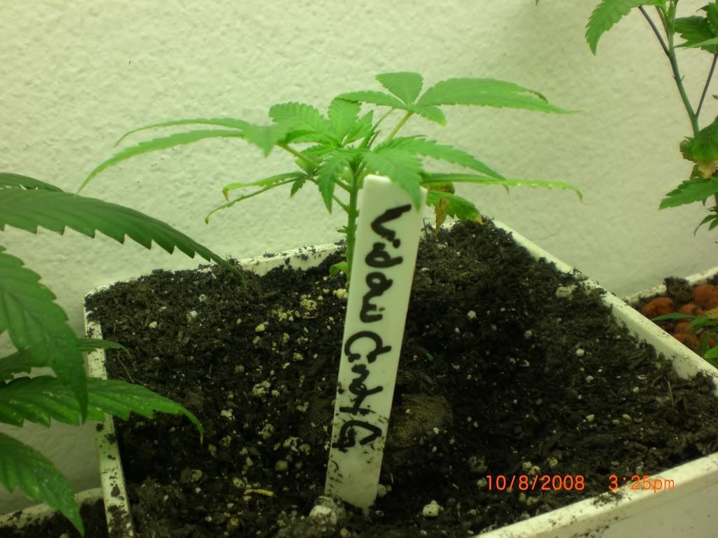 CIMG1281.jpg