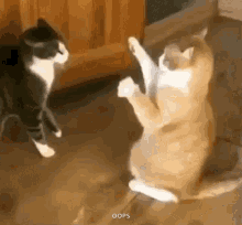 high-five-fail-youre-down.gif