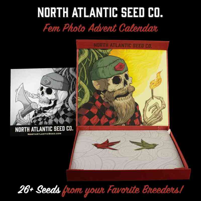 northatlanticseed.com