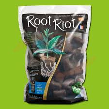 Root Riot - Ethnic World