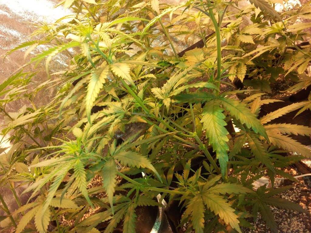 20111217_232042.jpg