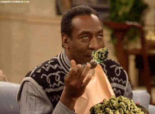 tumblr_mok2h29pbc1qfe7s8o1_500.gif