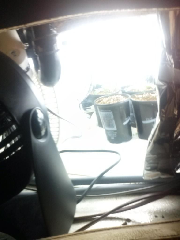 1230121049_zps21d2d18a.jpeg