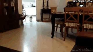 gifs_23.gif