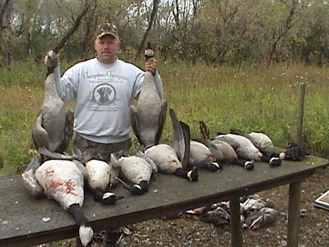 greater_canada_geese11.jpg