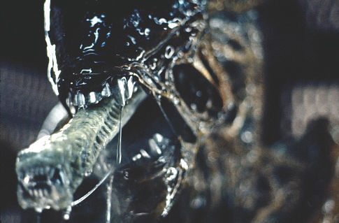 alien-hi-whats-up.jpg