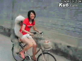 gifs_06.gif